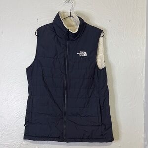 The northface vest
